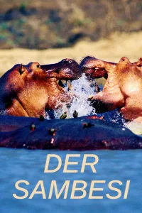 سانبسی، سِمباسی؟