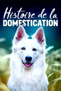 تاریخچه انسان و جانور