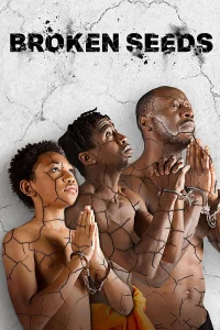 دانه‌های شکسته