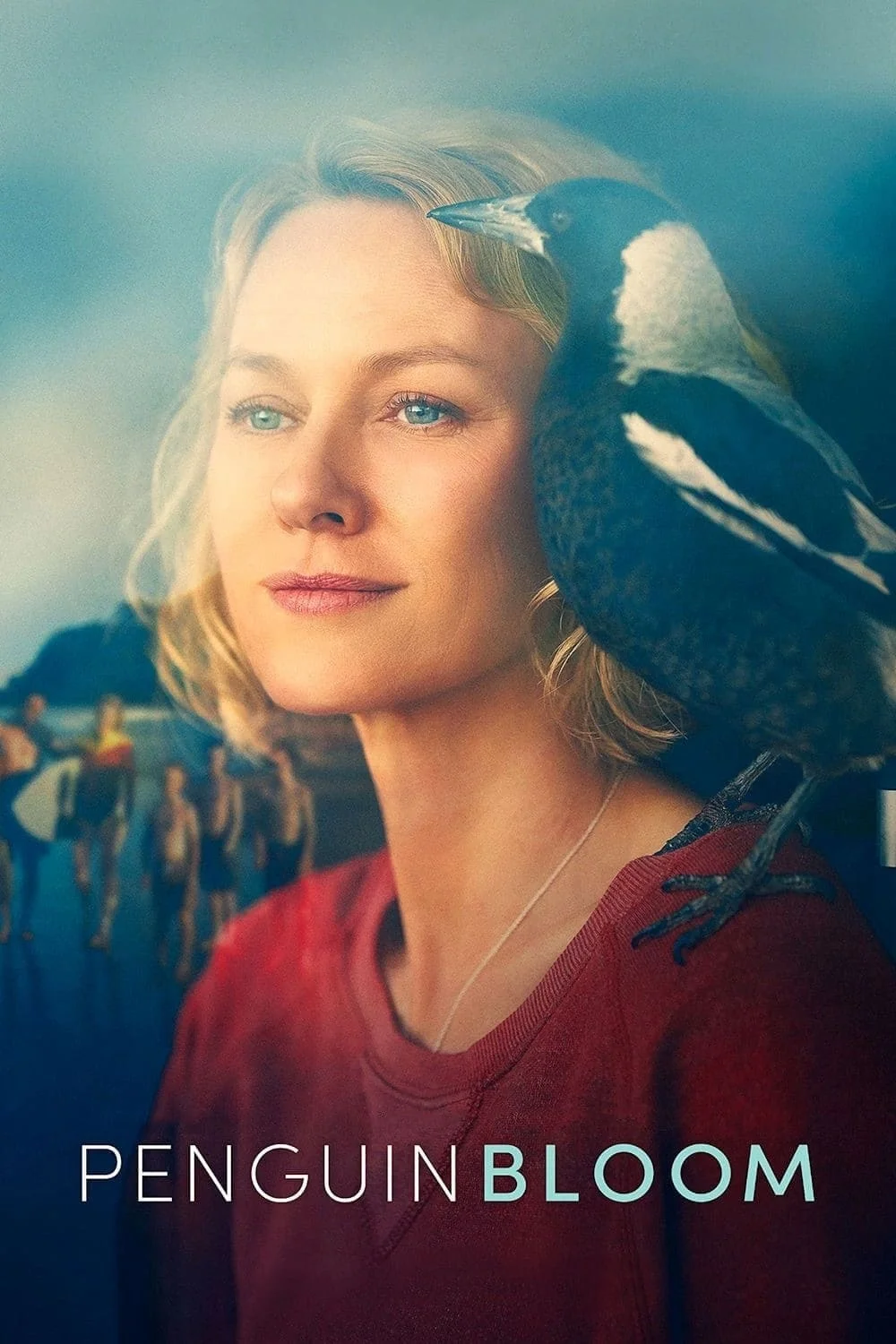 پنگوئن بلوم
