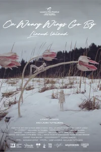 بر روی بال‌های خسته می‌گذرد