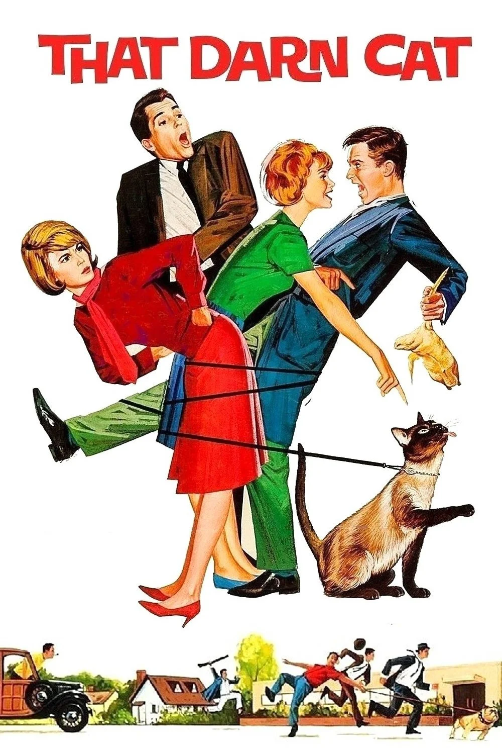 گربه جاسوس ( اون گربه لعنتی ! )