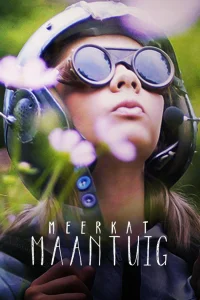 کشتی ماه میمونی