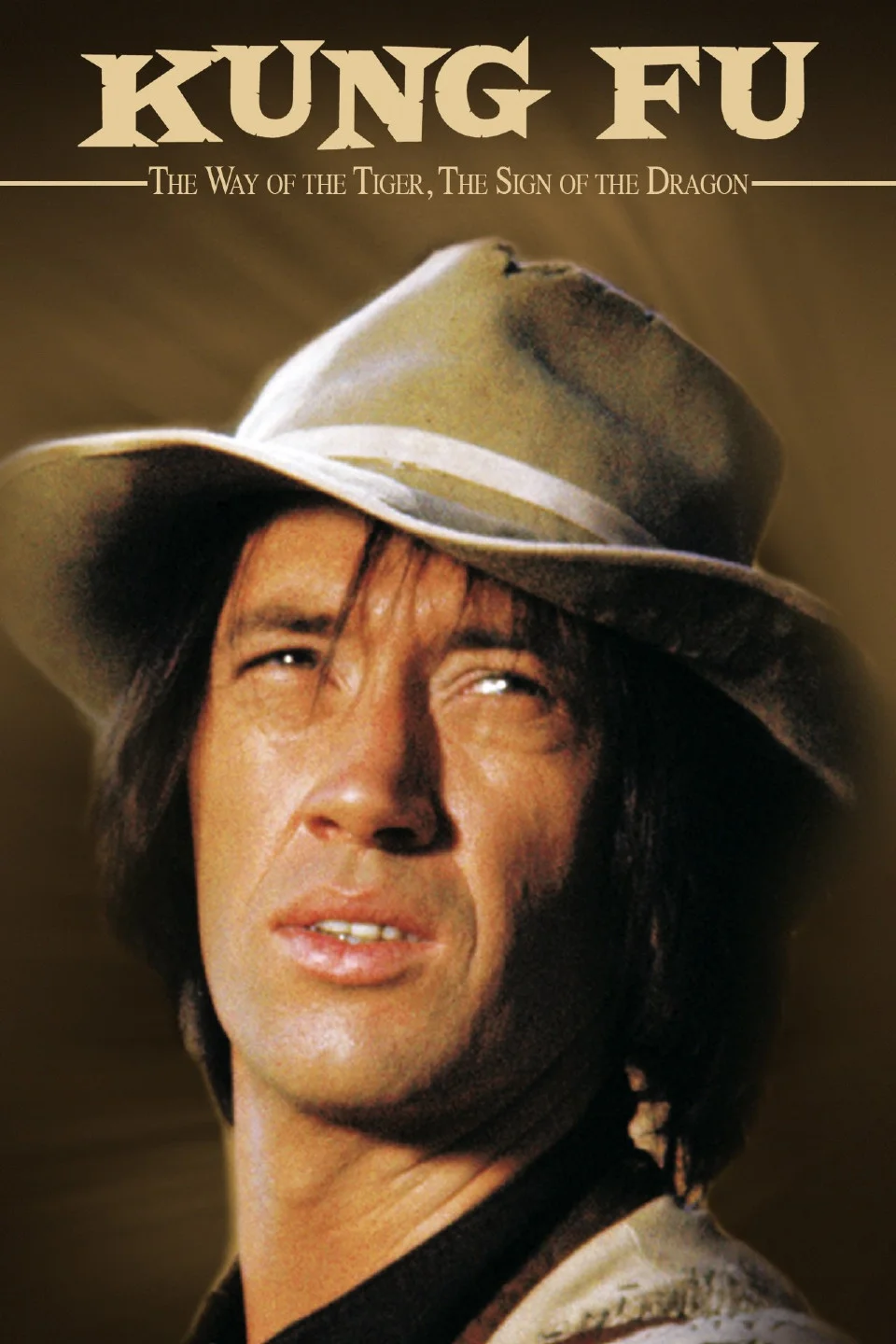 کونگ فو: راه ببر، نشانه اژدها