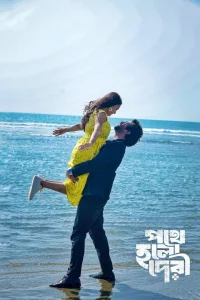 پوت هولو دری