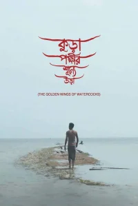 بال‌های طلایی مرغان مرداب