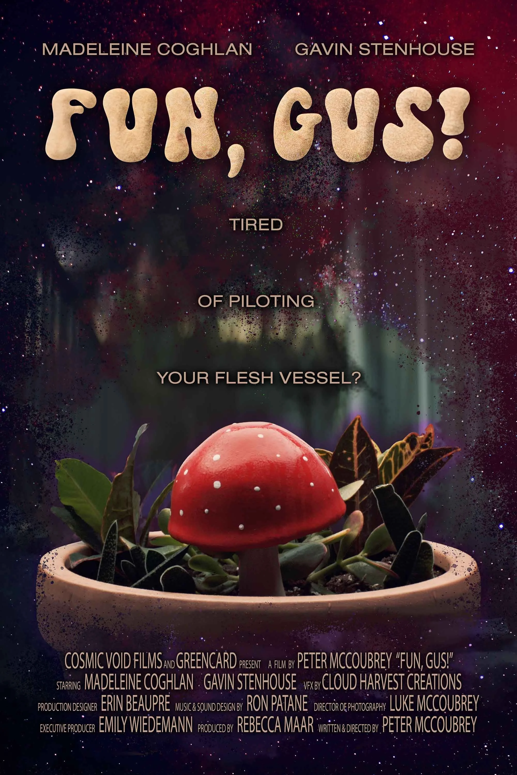 سرگرمی، قارچ!