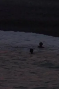 زندگی ماندل در سراجوو