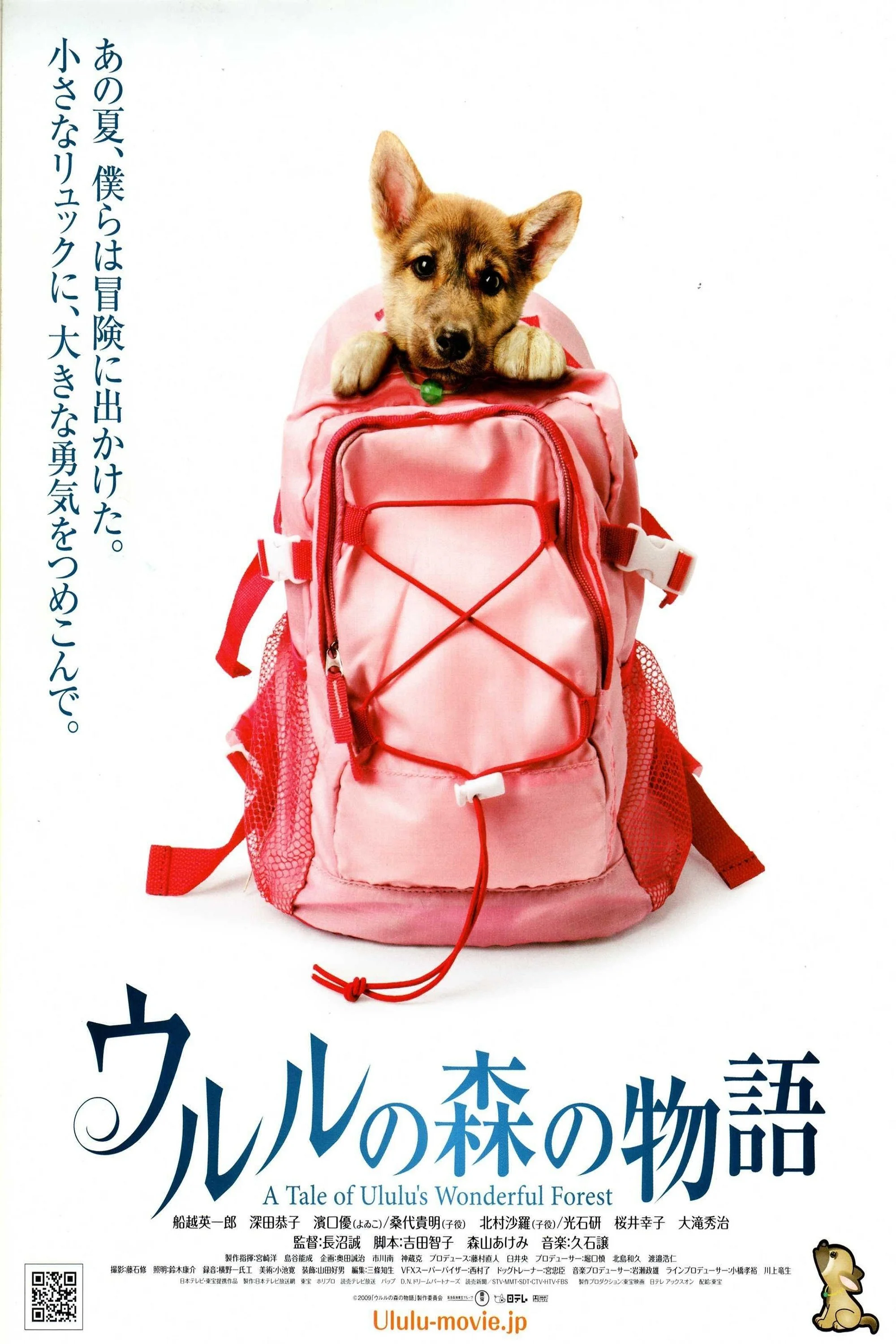 داستان جنگل شگفت انگیز اولولو