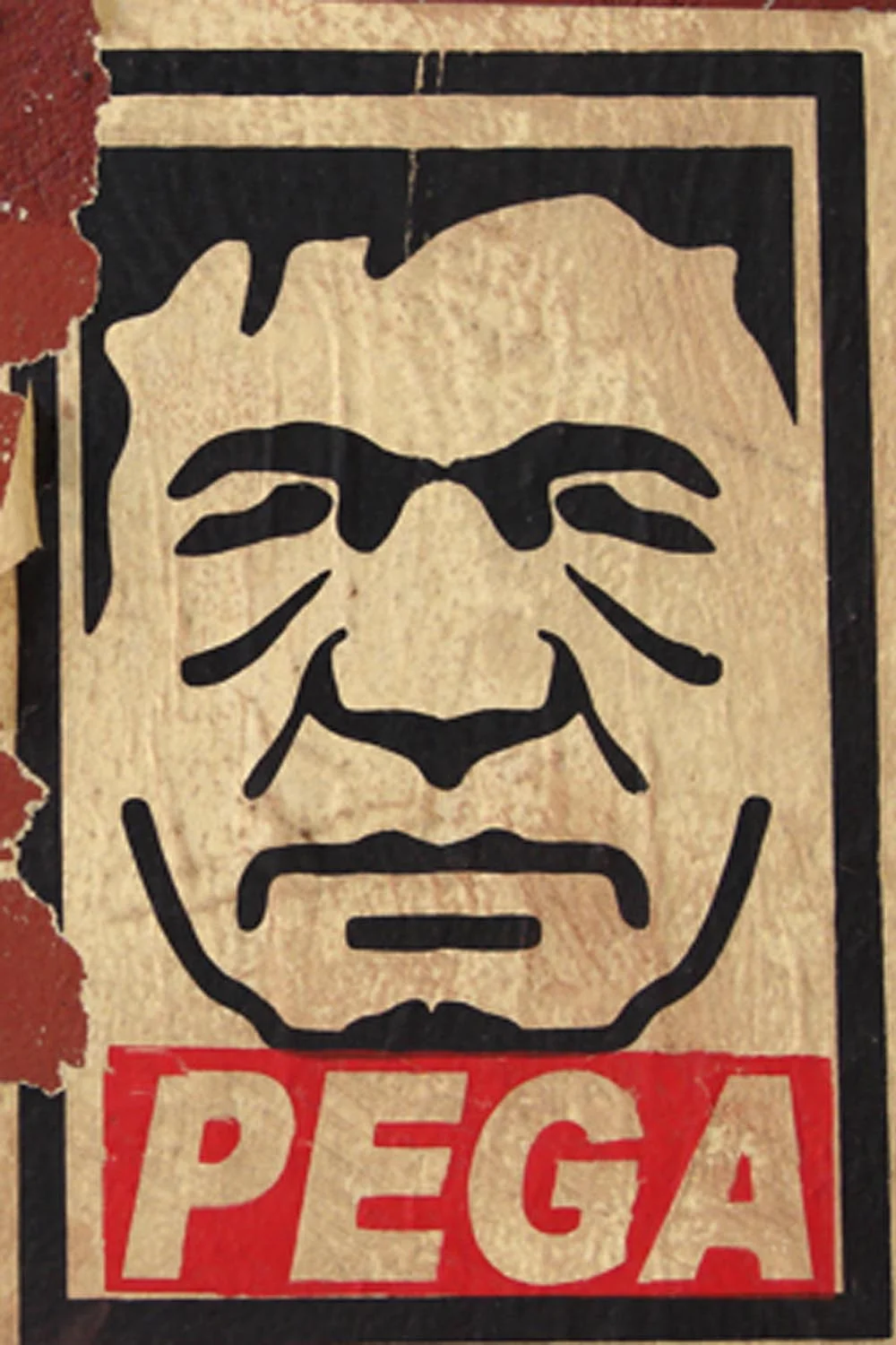 کی میخوری مارتین میخوری