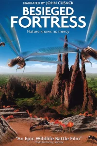 The Besieged Fortress