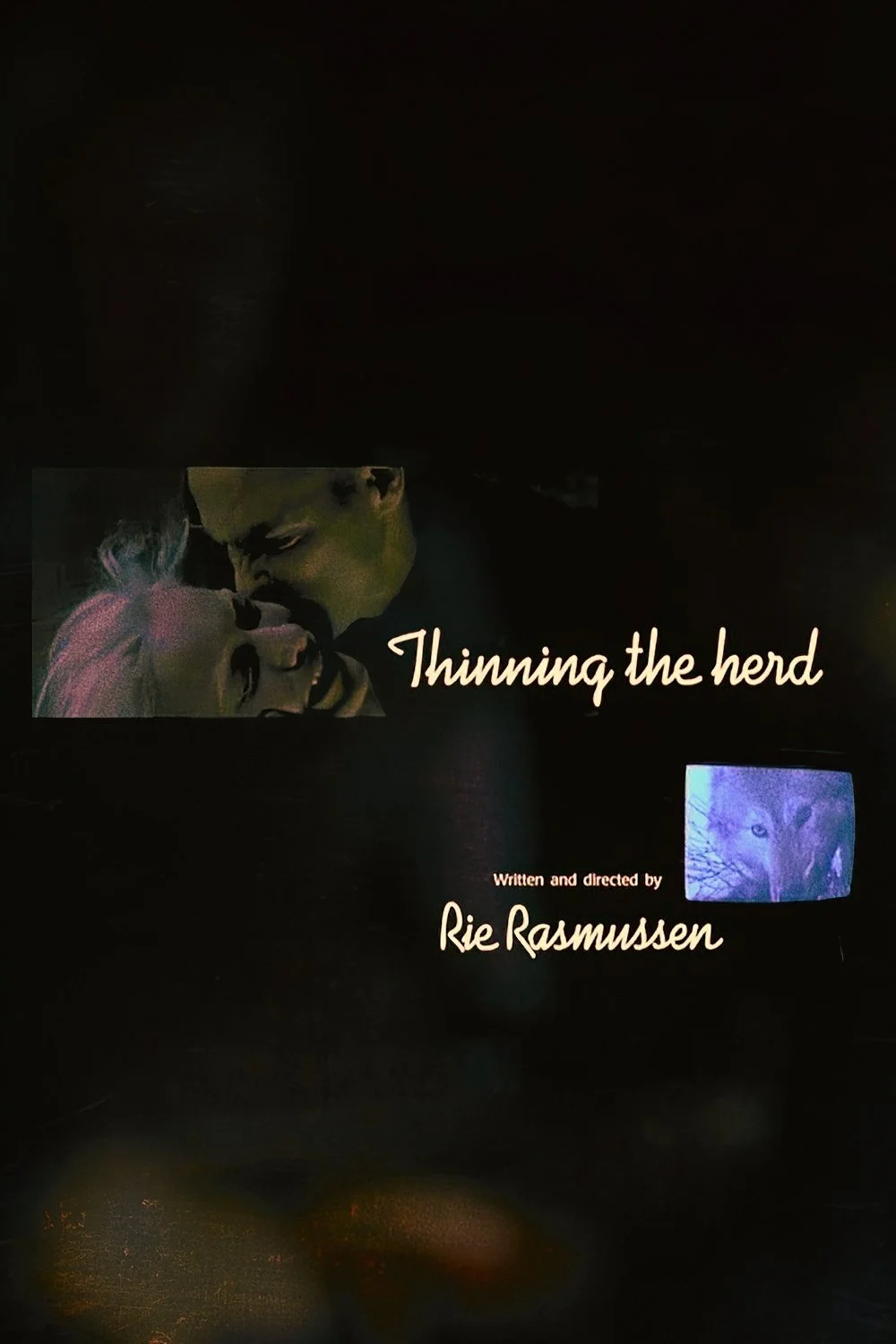 بارازبرداری از قبیله