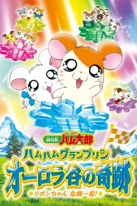 Hamtaro: Miracle in Aurora Valley