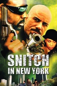 Snitch in New York