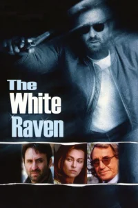 The White Raven