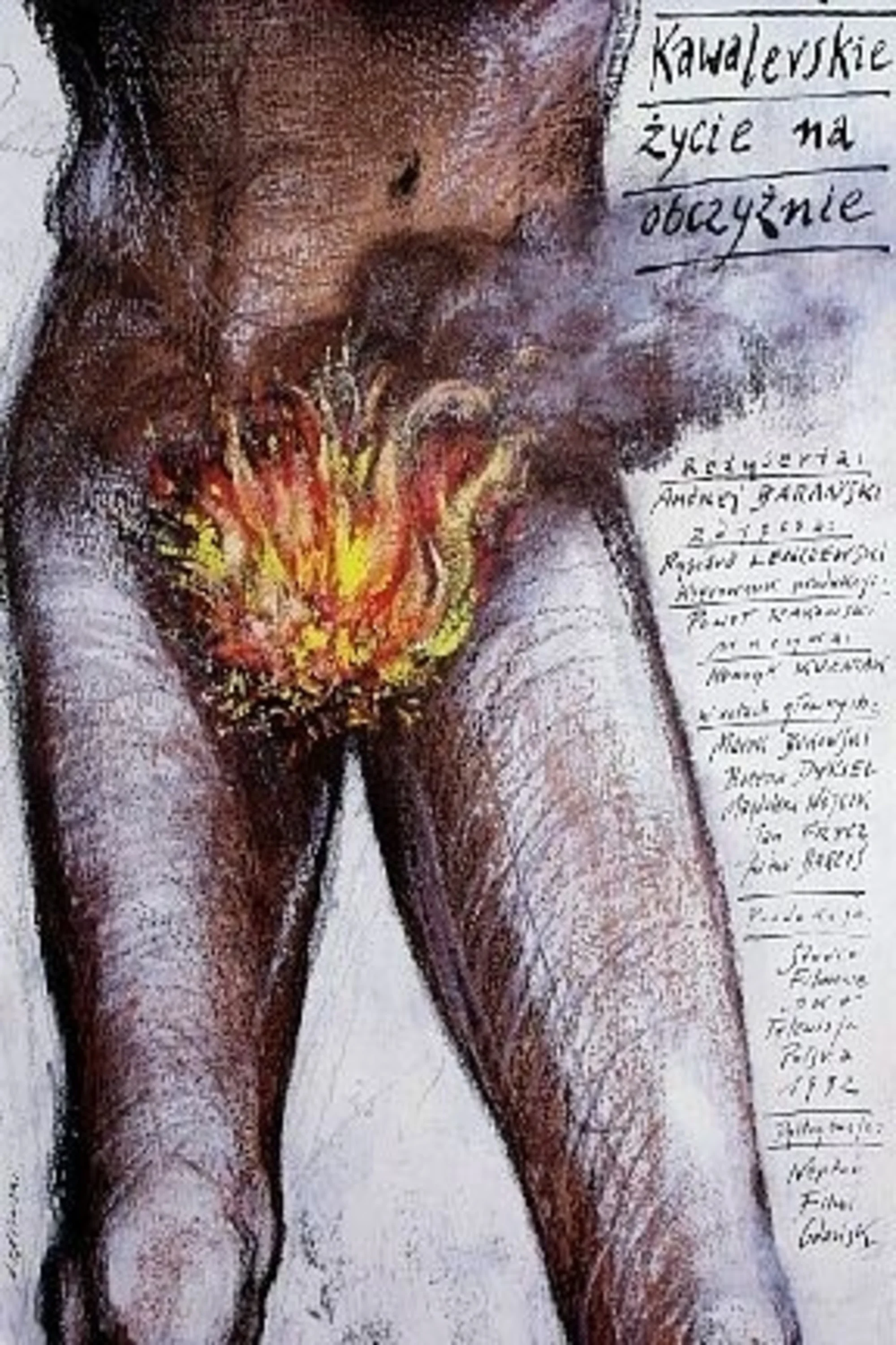 زندگی مجردی در خارج از کشور