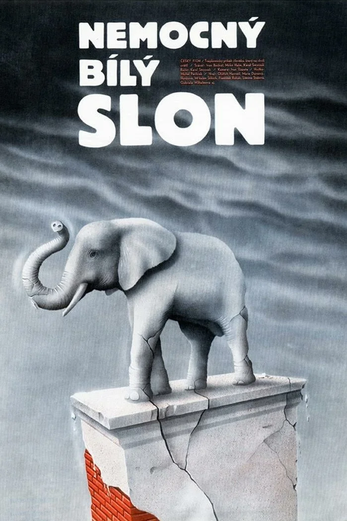 فیلم سست سفید بیمار