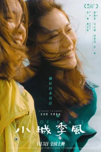 غیر مکانیزه